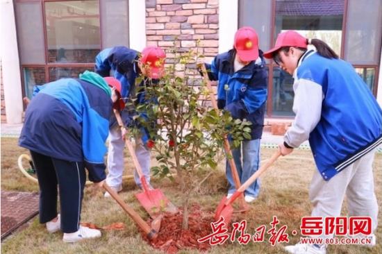 云图片