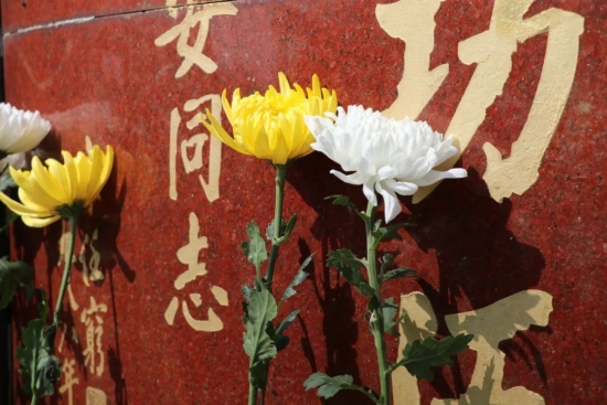云图片
